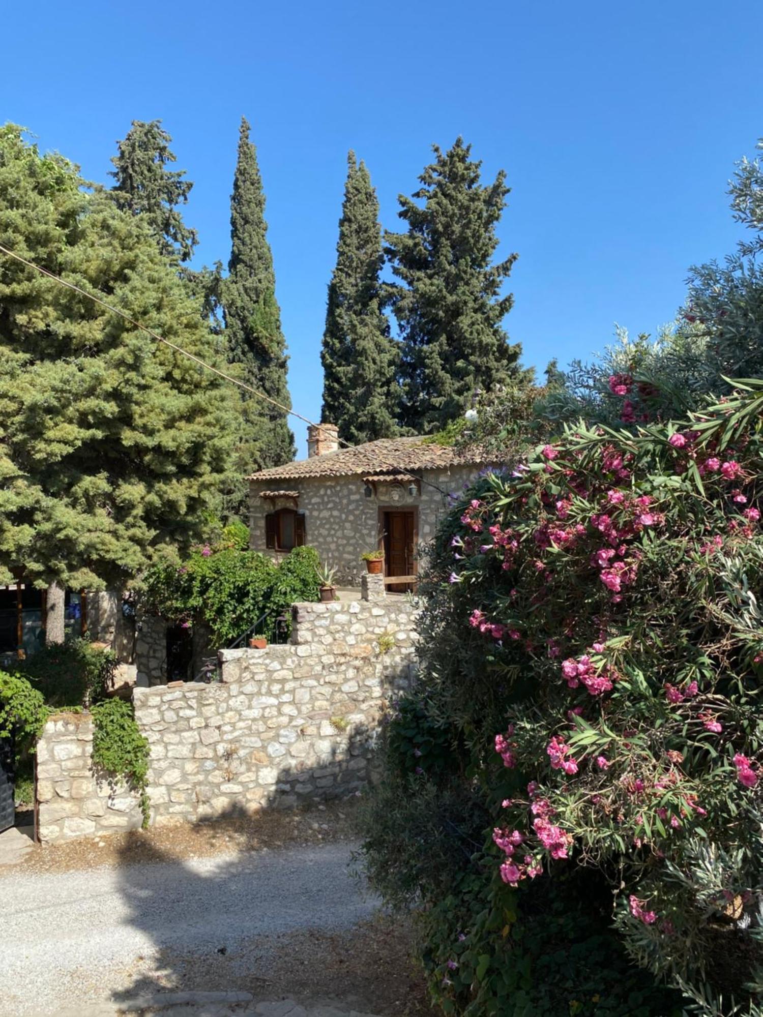 Medusa House Butik Hotel Didim Exterior foto