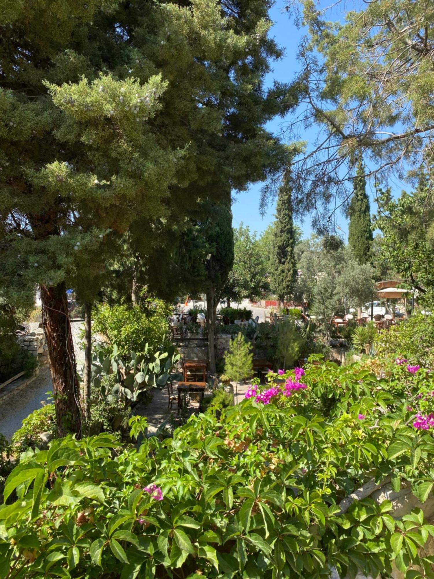 Medusa House Butik Hotel Didim Exterior foto